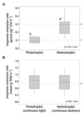 Isoprene Emission in Darkness by a Facultative Heterotrophic Green Alga